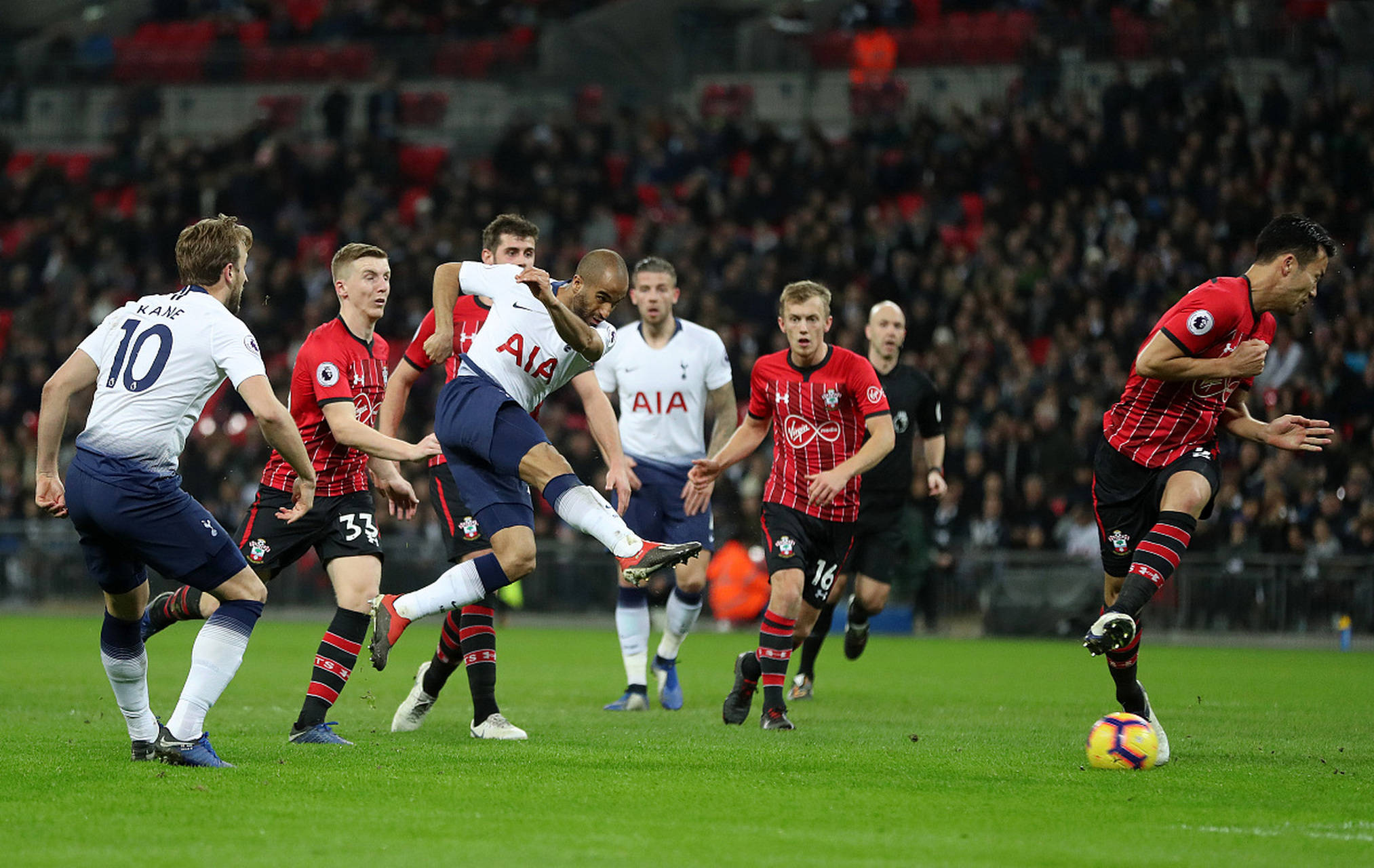 他们通常被 他们通常被