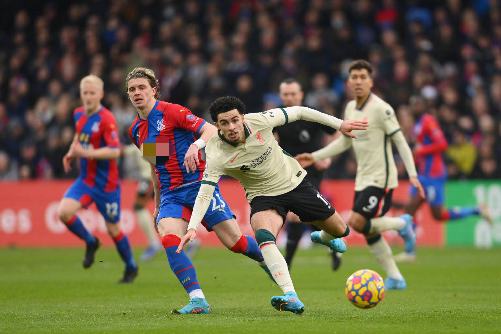 美国国土安 美国国土安